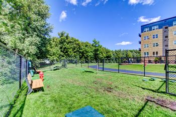 Pet Friendly Apartments in Blaine MN  with a Dog Run and Pet Park -Berkshire Central Apartments
